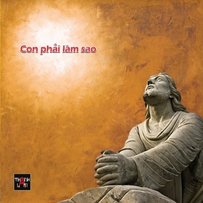 Con Phải Làm Sao