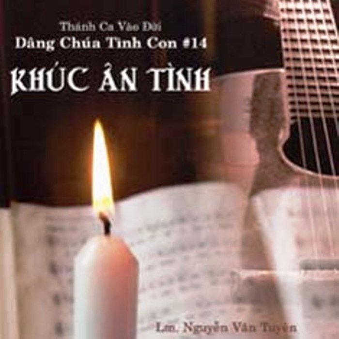 Dâng Chúa Tình Con 14 (Khúc Ân Tình)