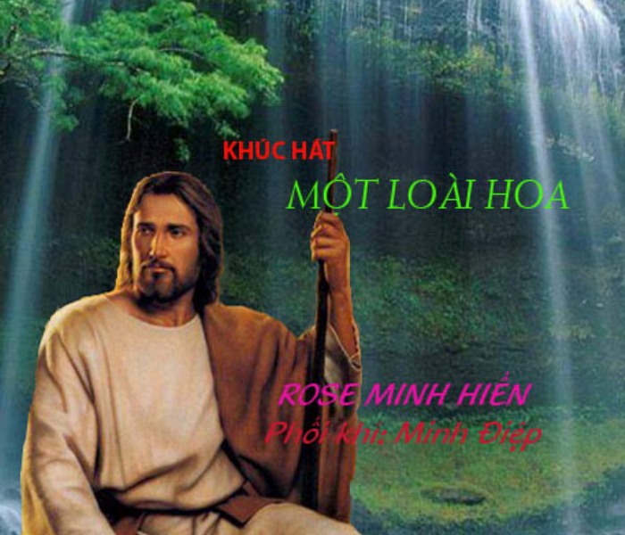 Khúc Hát Một Loài Hoa - Sr. Minh Hiền